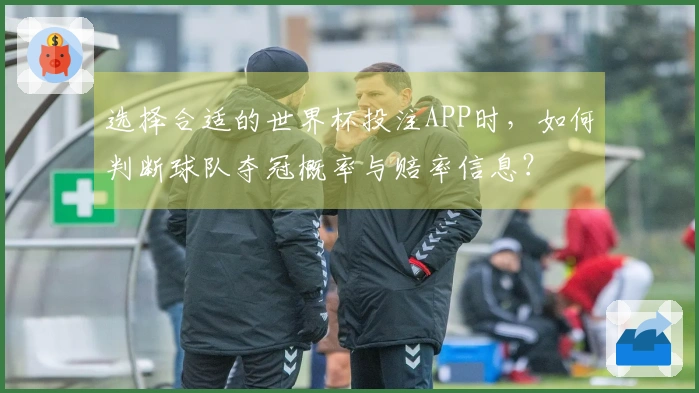 选择合适的世界杯投注APP时,如何判断球队夺冠概率与赔率信息?