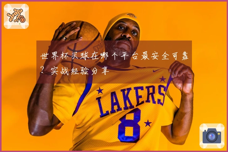 世界杯买球在哪个平台最安全可靠？实战经验分享