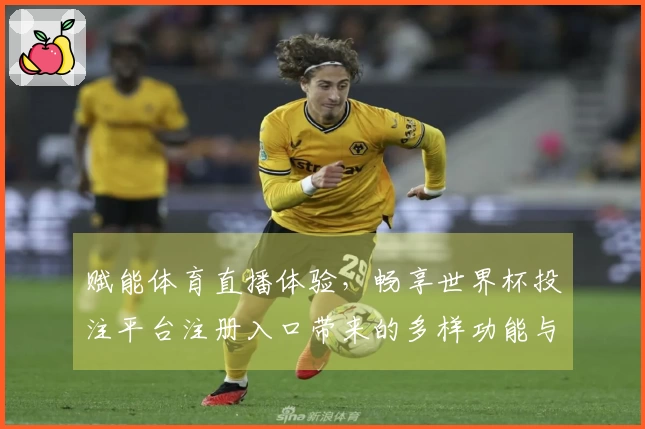 赋能体育直播体验,畅享世界杯投注平台注册入口带来的多样功能与便捷服务