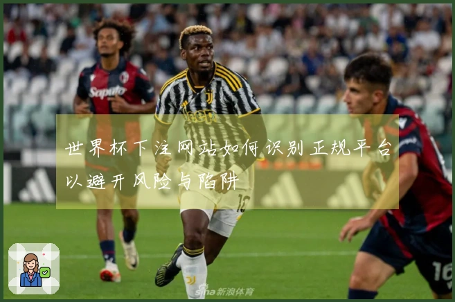 世界杯下注网站如何识别正规平台以避开风险与陷阱