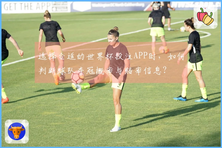 选择合适的世界杯投注APP时，如何判断球队夺冠概率与赔率信息？
