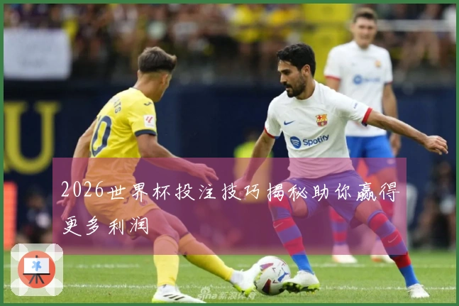 2026世界杯投注技巧揭秘助你赢得更多利润
