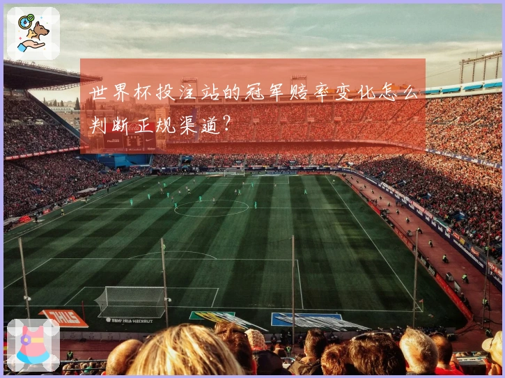世界杯投注站的冠军赔率变化怎么判断正规渠道?