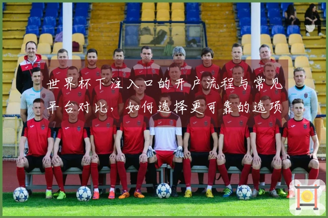 世界杯下注入口的开户流程与常见平台对比,如何选择更可靠的选项?