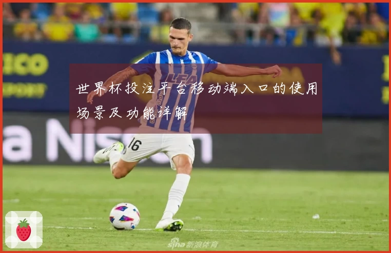 世界杯投注平台移动端入口的使用场景及功能详解